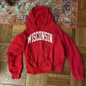 University of Wisconsin cropped hoodie